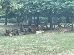 -西安秦岭野生动物园