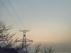 -洋山深水港
