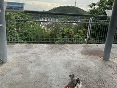 -佛山华盖山公园