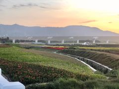 -光明小镇欢乐田园
