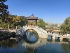 -孝店王酒酿馒头(安昌1店)