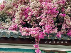 -深圳国际园林花卉博览园