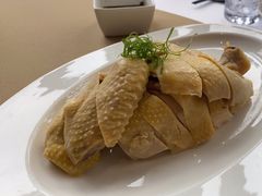 -圆苑(金茂店)