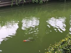 -陈武帝故宫
