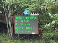 -汤旺河林海奇石景区