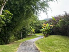 -水底山庄园温泉
