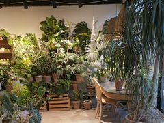 -自由生长植物工作室(深港花卉中心店)