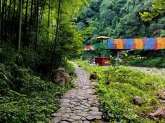 -水墨汀溪风景区