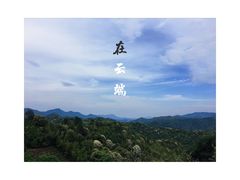 -江西阳明山国家森林公园