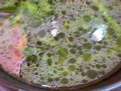 -米村拌饭(银泰中心店)