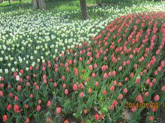 照片&nbsp;021-长春公园(普阳街道)