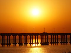 -宝安西湾红树林湿地公园