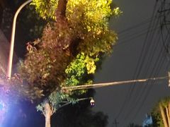 -怪老头甜不辣(抚琴小区店)
