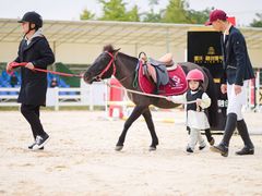 -重庆和泰马术俱乐部
