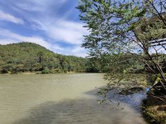 -广州白江湖森林公园