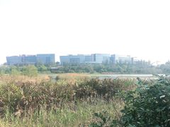 -华侨城湿地公园