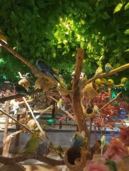 -酷嗒动物文化乐园(cutezoo西溪乐天城店)