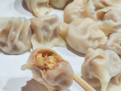 鲜肉大葱-听涛雅苑百味饺子老家菜馆