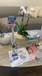 -上海首尔丽格医疗美容医院