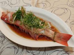 -東海薈。拉斐特(青衣城店)