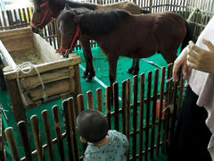 android_upload_pic-乐融婴幼儿成长中心(四季青校区)