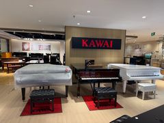 -柏斯音乐艺术中心·钢琴·吉他(上音店)