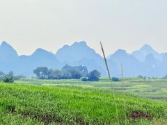 -明仕田园