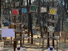 -沂蒙山旅游区云蒙景区(蒙山国家森林公园)
