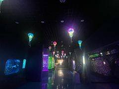 -石家庄极地海洋世界