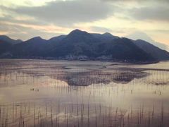 -北岐滩涂