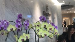 -Kraemer Paris  苏豪路易士·嘉玛发廊