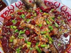 -欧记大排档·景德菜(上海首店)