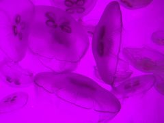 -沈阳海洋探索中心