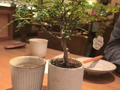 -CURRY YA 熟成咖哩專門店(深圳湾万象城店)