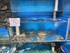 -宏源鑫海鲜餐厅·海景婚宴厅(石老人店)