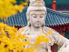 -老门东历史文化街区