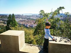 -府君山公园