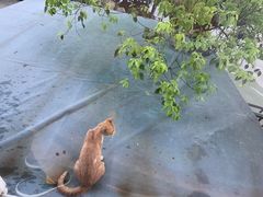 -晓琦农家菜馆·地道农家菜