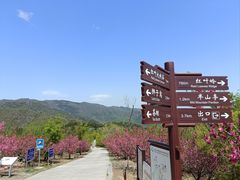 -北京西山国家森林公园