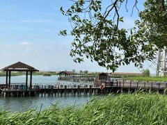-苏州太湖国家湿地公园