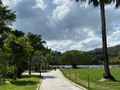 -深圳仙湖植物园