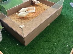 -瑞虹新天地月亮湾