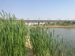 iphone_upload_pic-永定河休闲森林公园