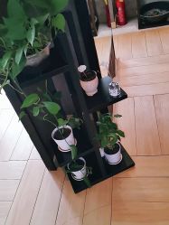 -香秀空间科技抗衰·美容中心