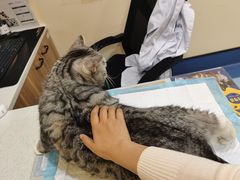 -萌兽医馆·犬猫专科·眼科中心·宠物医院(朝阳门分院)