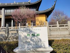 -红梅公园
