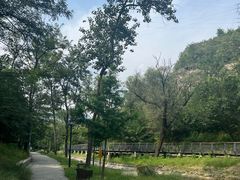 -白水寺森林公园