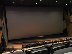 -金逸影城(宝安大仟里IMAX激光店)