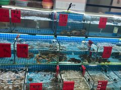 -洲晓鲜·舟山海鲜大排档(朱家尖风景区店)