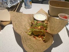 -油梨树 AVOCADO TREE(亮马桥店)